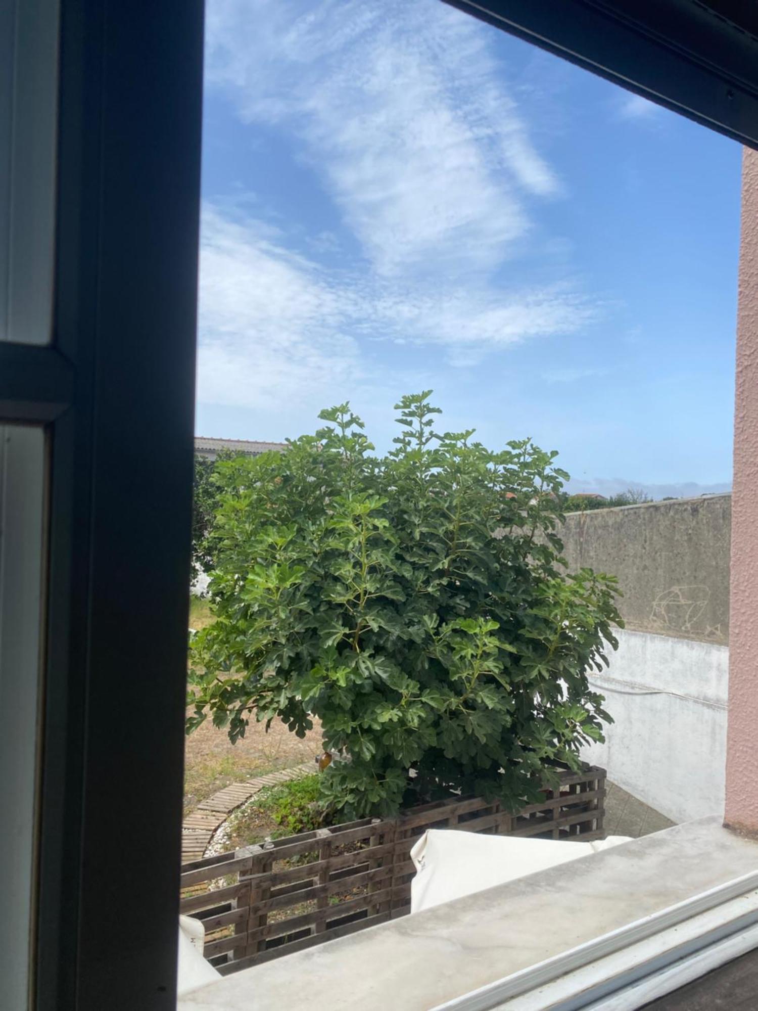 Garden Hostel Aradas Εξωτερικό φωτογραφία
